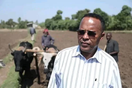 Shashemenne City Farming: Cultivating Abundance in the Heart of Ethiopia